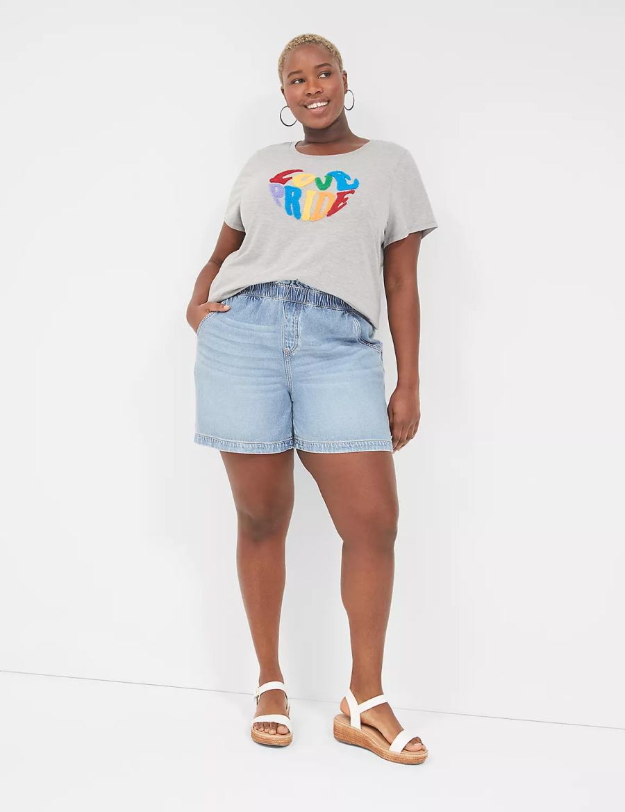 Women Lane Bryant Chenille Love Pride Graphic Tee T Shirts Light Grey | SXB343WV