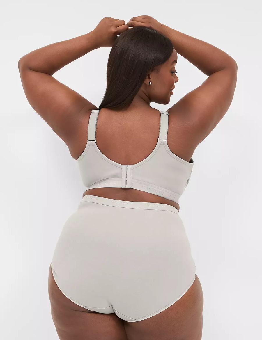Women Lane Bryant Cotton High-Waist With Stretch Lace Briefs Cream Black | ANB2461ZW