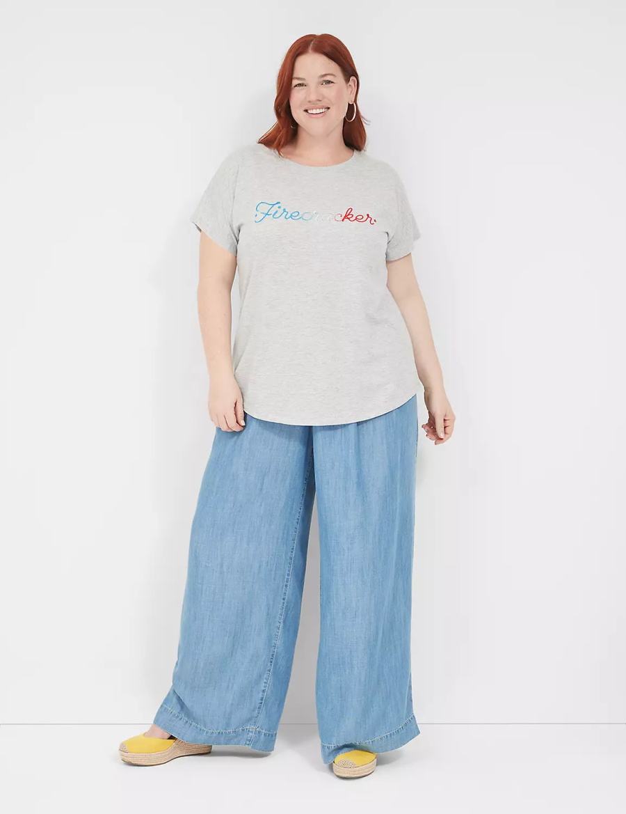 Women Lane Bryant Embroidered Firecracker Graphic Tee T Shirts Grey | XHN8290OB