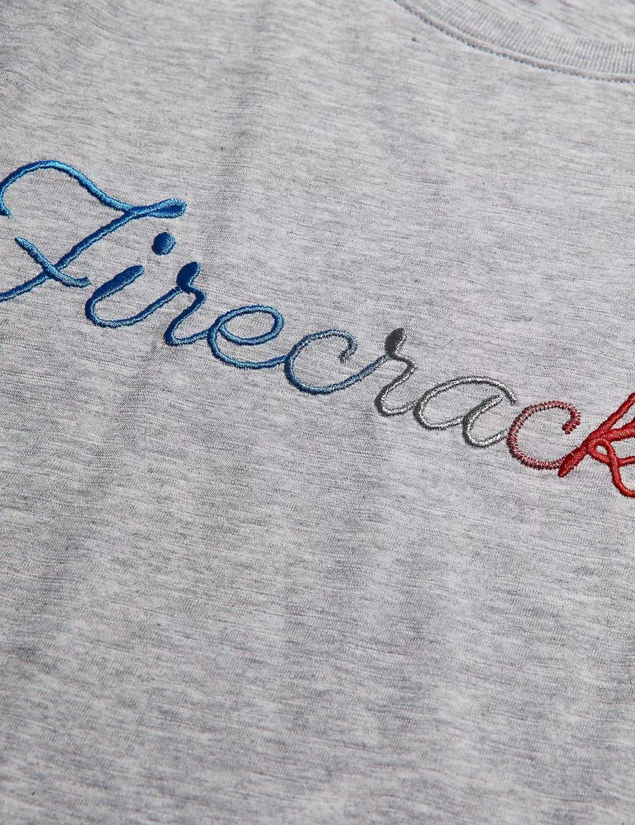 Women Lane Bryant Embroidered Firecracker Graphic Tee T Shirts Grey | XHN8290OB
