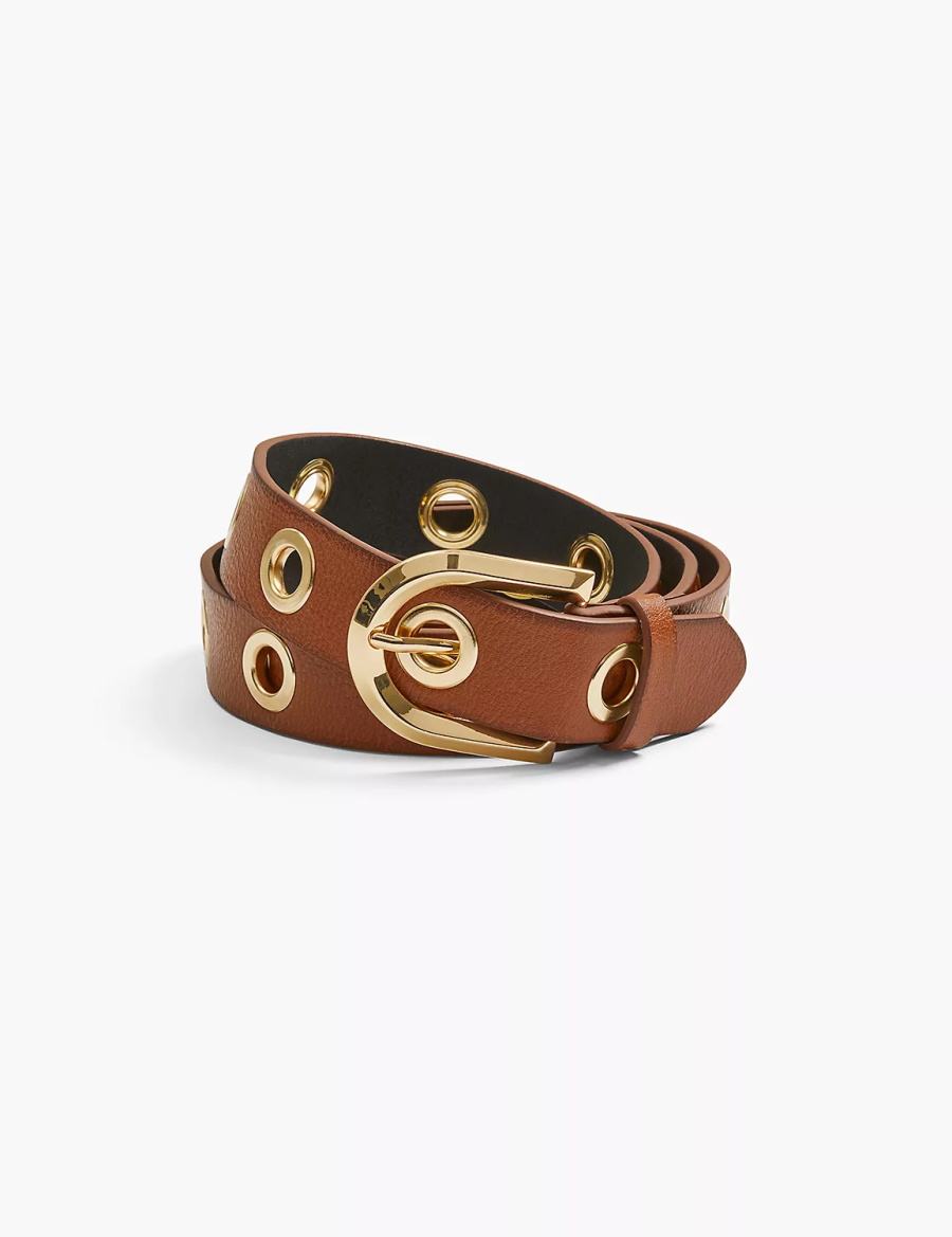 Women Lane Bryant Faux-Leather Grommet Hip Belts Brown | OKF775HH