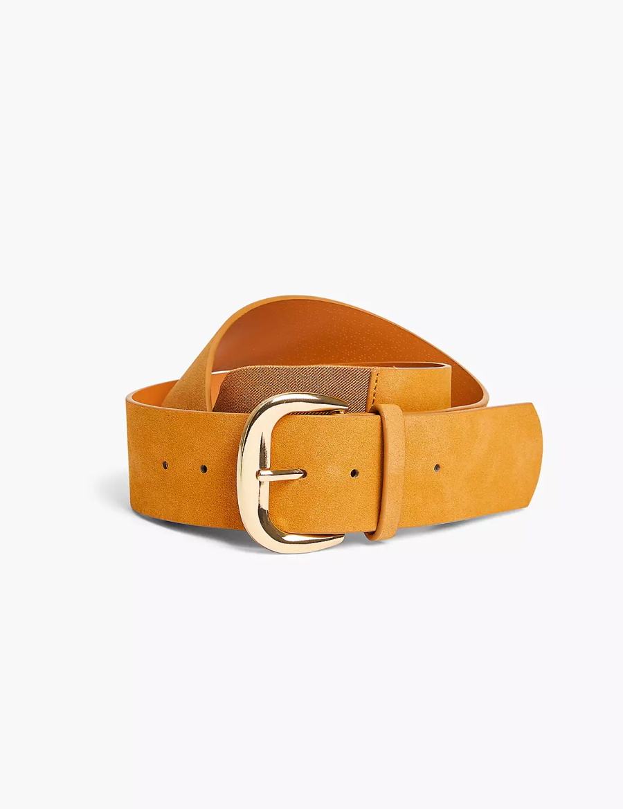 Women Lane Bryant Faux-Leather Hardware Waist Belts Brown | JBF127WO