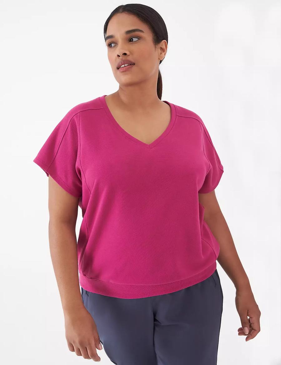 Women Lane Bryant LIVI French Terry Short-Sleeve Sweatshirts Fuchsia | LCI7825BF