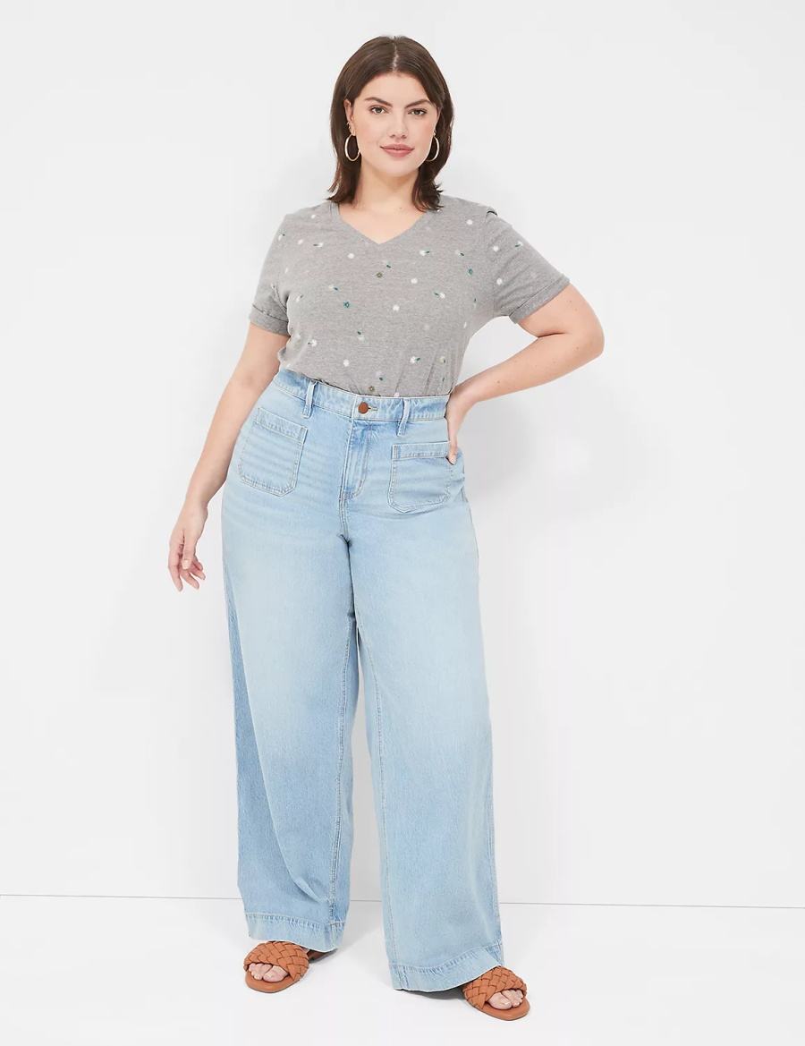 Women Lane Bryant Perfect Sleeve V-Neck Tee T Shirts Grey | RUD2913PK