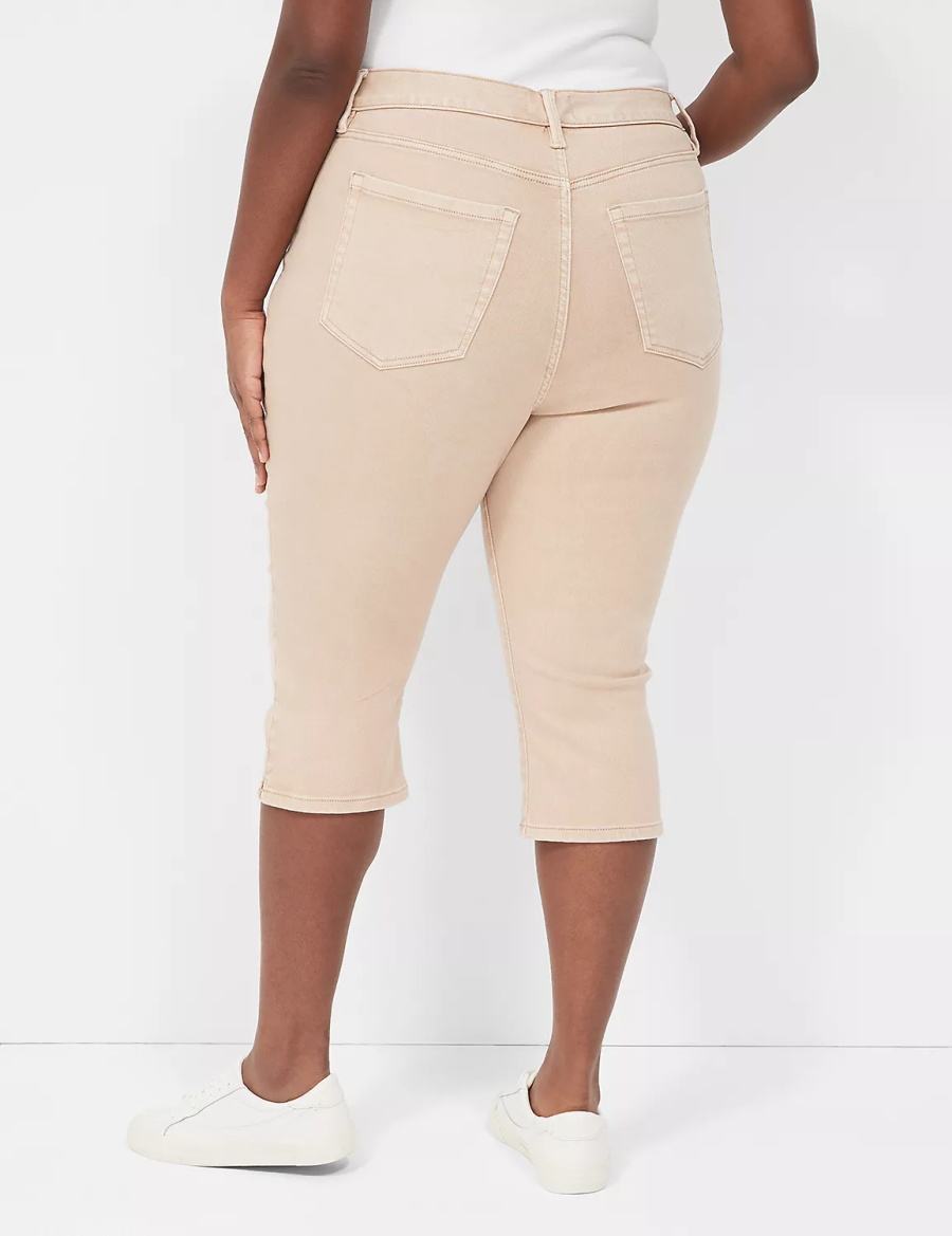 Women Lane Bryant Signature Fit High-Rise Color Pedal Jeans Brown | AVK4874TE