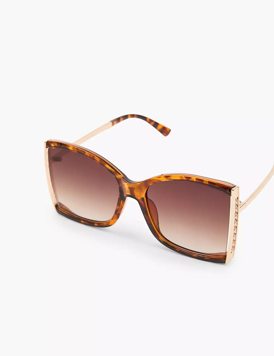Women Lane Bryant Tortoiseshell Print With Goldtone Hinge Square Sunglasses Brown | DIF5855FS